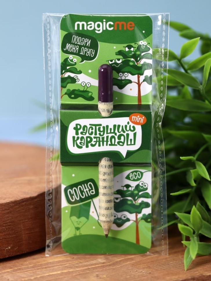 "Растущий карандаш Magicme mini" - Сосна