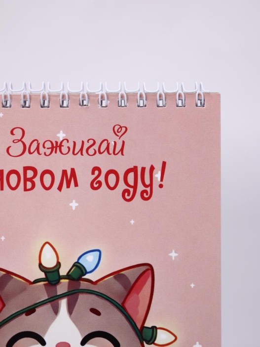 Скетчбук «Зажигай в новом году! Котик», 14х20 см,  плотность 100 гр 