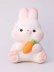 Копилка &quot;Rabbit with wet&quot;, 17 см 