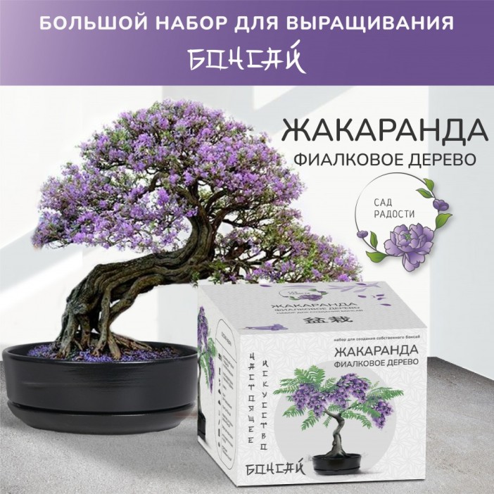 Набор д/создания бонсай "Сад Радости", "Жакаранда" 
