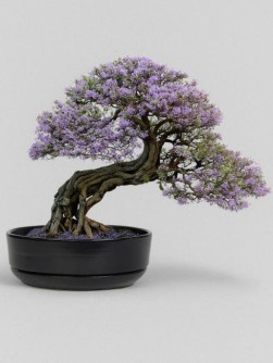 Набор д/создания бонсай "Сад Радости", "Жакаранда"