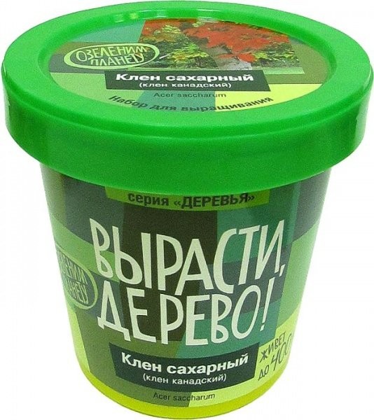 Набор для выращивания "Клён сахарный" 