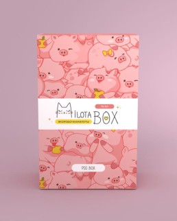 MilotaBox mini &quot;Pig Box&quot;