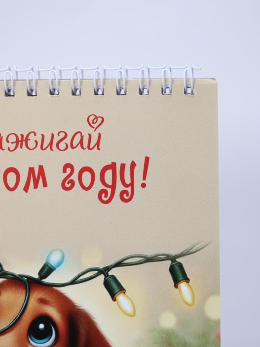 Скетчбук «Зажигай в новом году! Такса», 14х20 см,  плотность 100 гр 