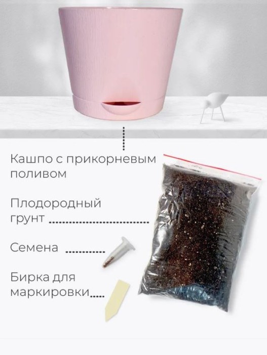 Набор для выращивания растений &quot;Магия Цветов&quot;, &quot;Земляника Руяна&quot; 