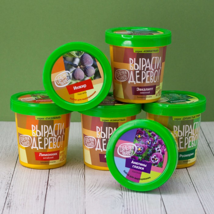 Набор для выращивания &quot;Гардения&quot; 