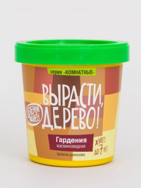 Набор для выращивания &quot;Гардения&quot; 