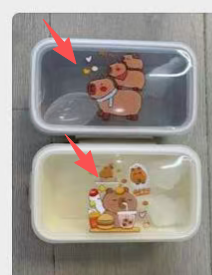 Ланчбокс "Capybara on the line", mix (550 мл)