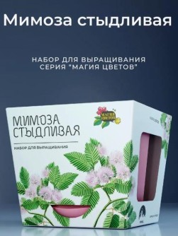Набор для выращивания растений "Магия Цветов", "Мимоза стыдливая"