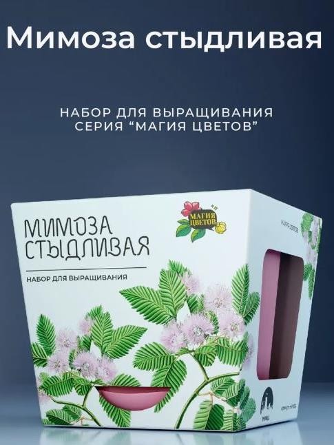 Набор для выращивания растений "Магия Цветов", "Мимоза стыдливая"