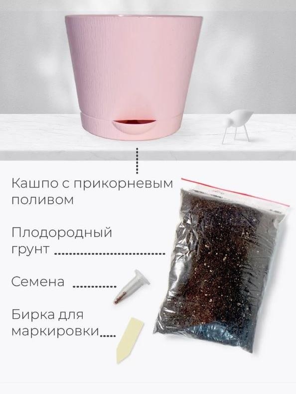 Набор для выращивания растений "Магия Цветов", "Мимоза стыдливая"