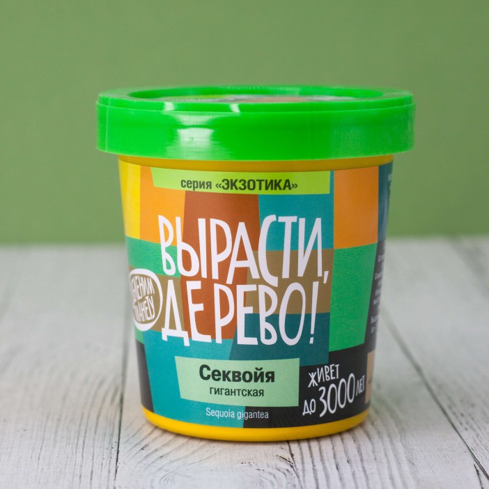 Набор для выращивания "Секвойя" 