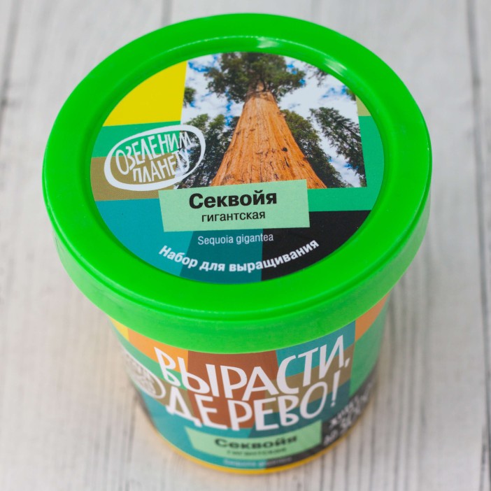Набор для выращивания "Секвойя" 