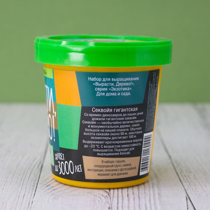 Набор для выращивания "Секвойя" 