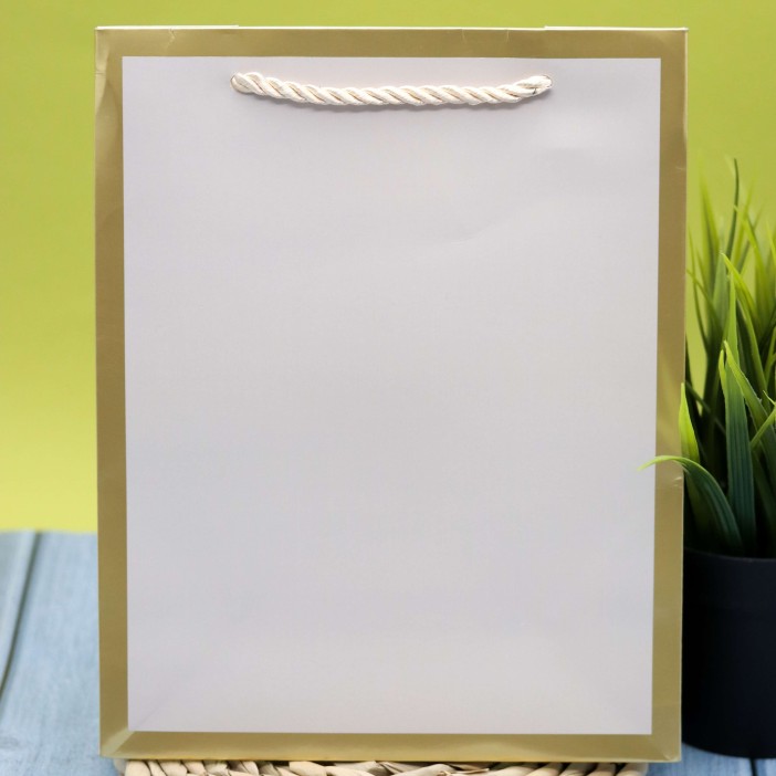 Пакет подарочный (S) «Classic line», white (24.5*19.5*9.5) 