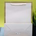 Пакет подарочный (S) «Classic line», white (24.5*19.5*9.5) 