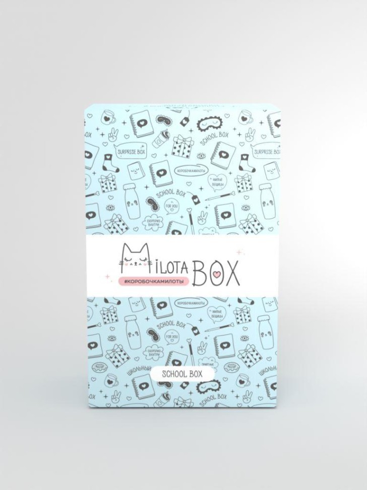 MilotaBox мини "Школьный Бокс" (в прошлом дизайне)