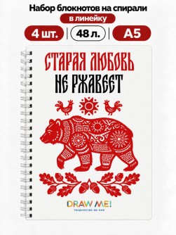 Набор блокнотов на спирали в линейку А5 Draw Me! 4шт. "Любовь не ржавеет", 48л.