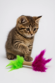 Игрушка для кошек "Цилиндр с перьями"