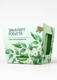 Набор для выращивания растений "Магия Цветов", "Эвкалипт робуста"