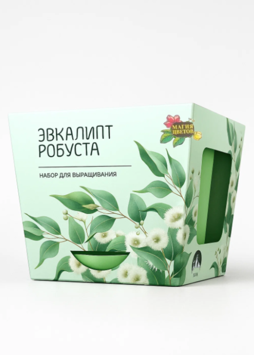 Набор для выращивания растений &quot;Магия Цветов&quot;, &quot;Эвкалипт робуста&quot; 