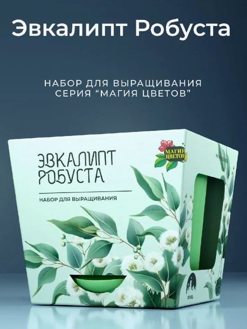 Набор для выращивания растений "Магия Цветов", "Эвкалипт робуста"