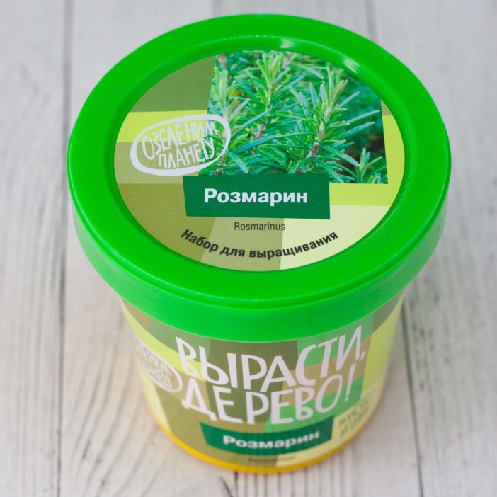 Набор для выращивания &quot;Розмарин&quot; 