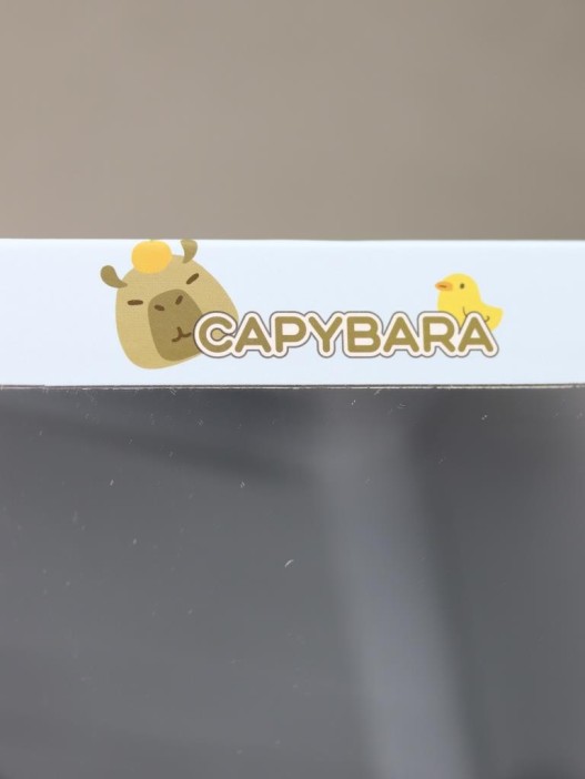 Зеркало "Capybara", blue 