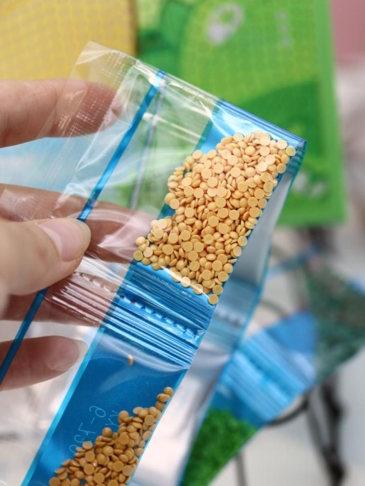 Алмазная мозаика на подрамнике Draw Me! «Capybara in the forest», (20*20 см) 