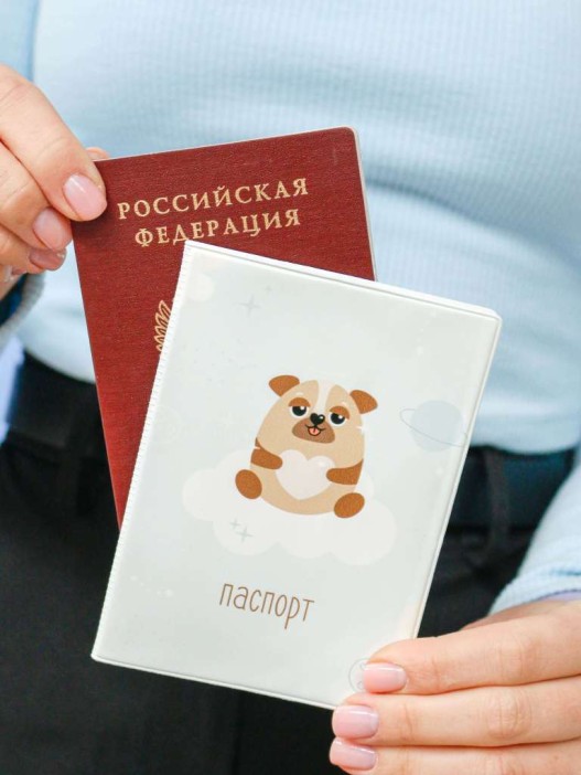 ОБЛОЖКА ДЛЯ ПАСПОРТА «Space dog», плотность 600 мкм 