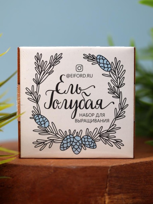 Набор для выращивания "Экокуб Magicme" - Ель Голубая 