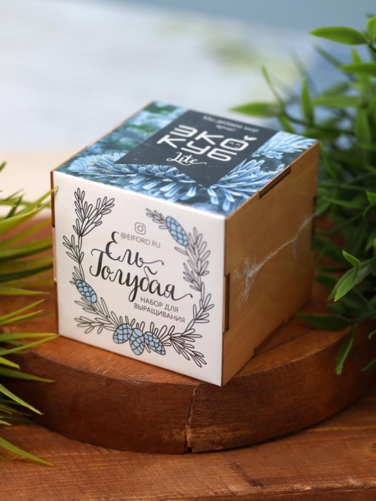 Набор для выращивания "Экокуб Magicme" - Ель Голубая 