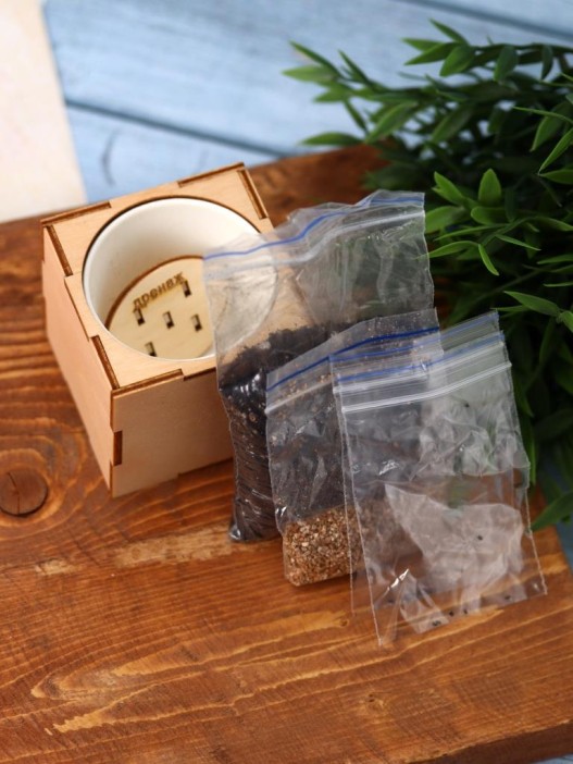 Набор для выращивания "Экокуб Magicme" - Ель Голубая 