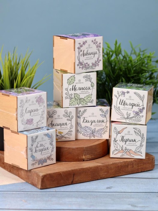 Набор для выращивания "Экокуб Magicme" - Ель Голубая 