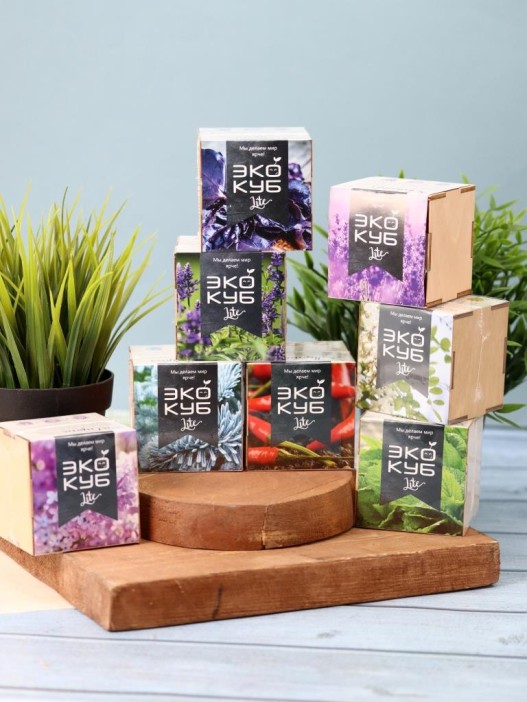 Набор для выращивания "Экокуб Magicme" - Ель Голубая 