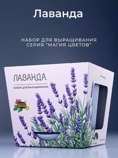 Набор для выращивания растений &quot;Магия Цветов&quot;, &quot;Лаванда&quot; 