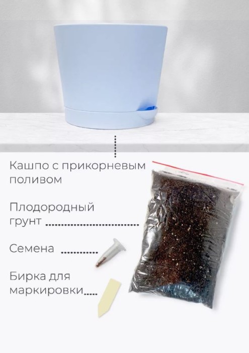 Набор для выращивания растений &quot;Магия Цветов&quot;, &quot;Лаванда&quot; 