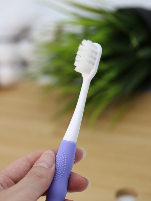 Зубная щётка для взрослых iLikeGift &quot;Birdie bite&quot;, purple (19 см) 