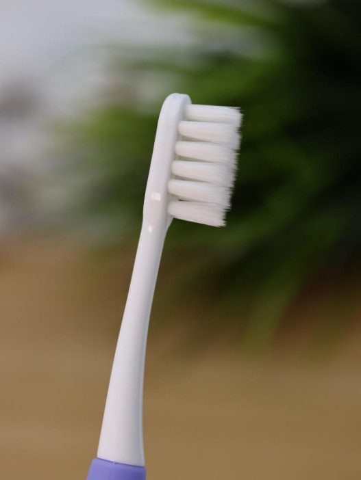 Зубная щётка для взрослых iLikeGift &quot;Birdie bite&quot;, purple (19 см) 