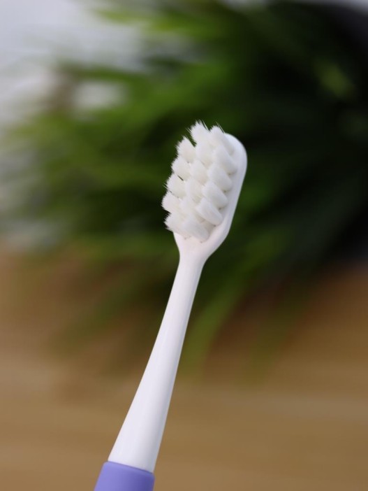 Зубная щётка для взрослых iLikeGift &quot;Birdie bite&quot;, purple (19 см) 