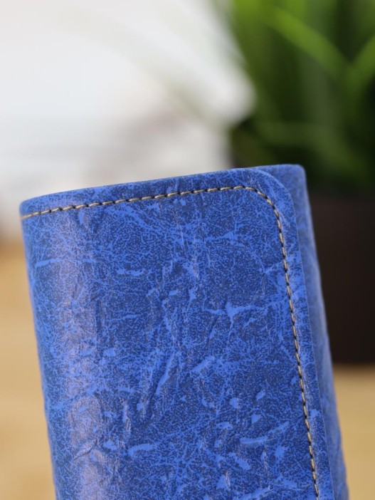 Чехол для очков GIRLY &quot;Velvet View&quot;, blue 