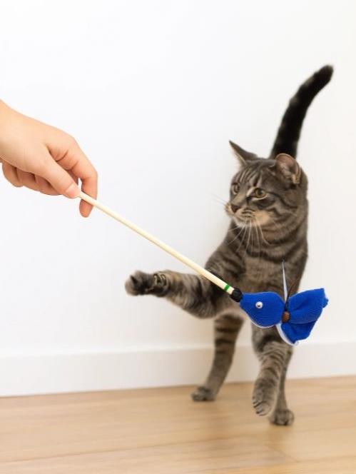 Махалка для кошек &quot;Рыбка&quot;, с пищалкой на веревке, звенящая, синяя 