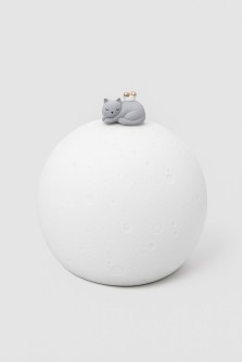 BB8001-1 Ночник-антистресс "Lunar cat"