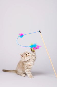 Махалка для кошек "Радуга", 50 см