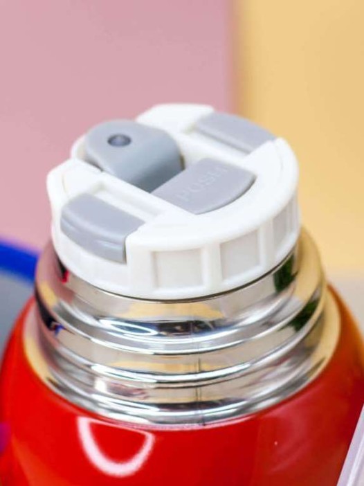 Термос "Color tiger", red (550 ml) 