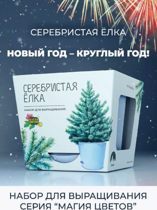 Набор для выращивания растений &quot;Магия Цветов&quot;, &quot;Серебристая елка&quot; 