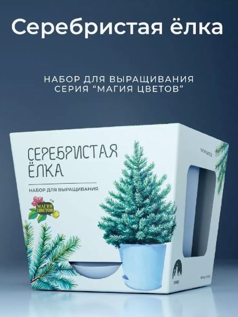 Набор для выращивания растений &quot;Магия Цветов&quot;, &quot;Серебристая елка&quot; 