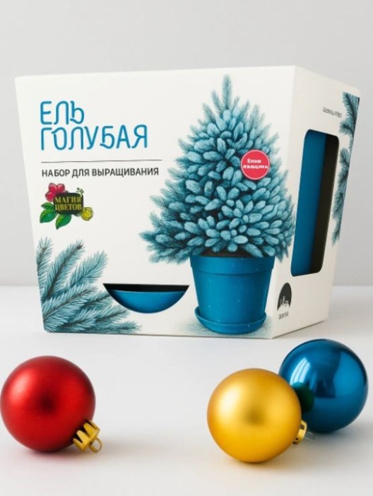 Набор для выращивания растений &quot;Магия Цветов&quot;, &quot;Серебристая елка&quot; 