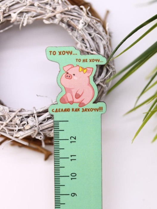 Линейка ECO из дерева «То хочу…то не хочу...» 