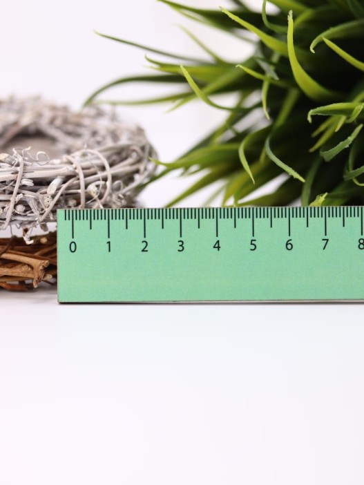 Линейка ECO из дерева «То хочу…то не хочу...» 